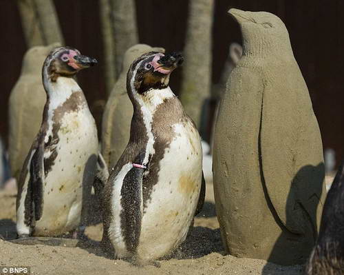 Пингвины и песчаные фигуры