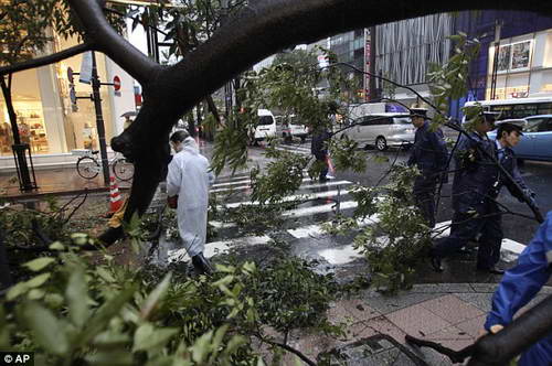 Последствия тайфуна Рок - Япония