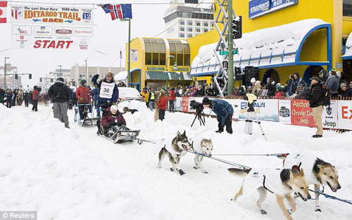 Гонки собачьих упряжек на Аляске Айдитарод