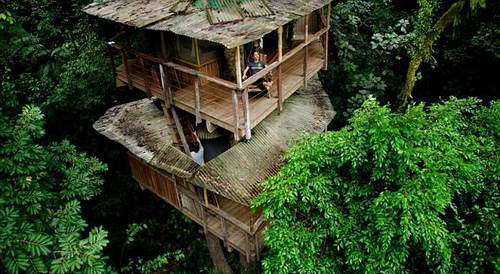 Поселение Finca Bellavista в джунглях Коста-Рики