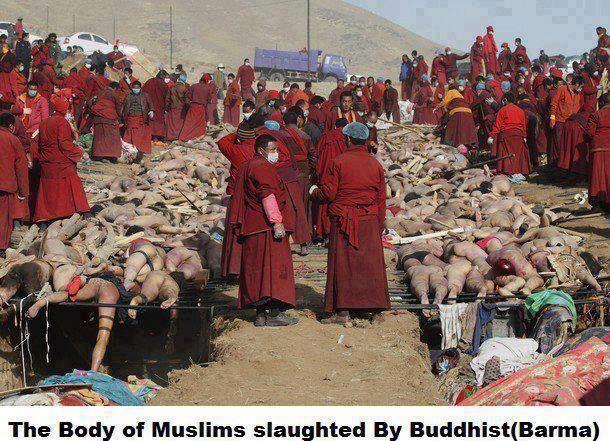 мьянма геноцид мусульман